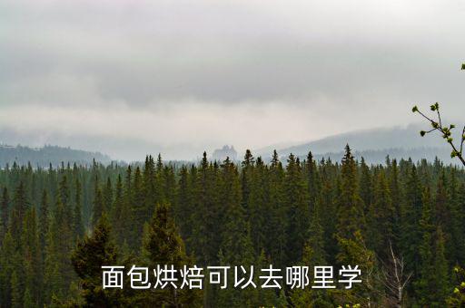 面包烘焙可以去哪里學