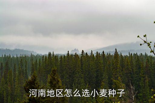 河南地區怎么選小麥種子
