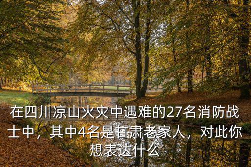 四川涼山消防英雄最后葬在哪里,30名消防員英雄犧牲了