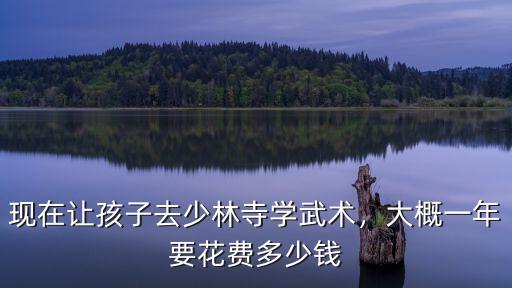 現在讓孩子去少林寺學武術，大概一年要花費多少錢