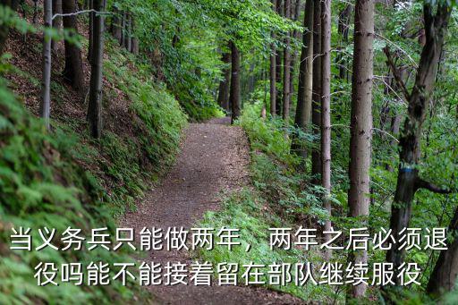 邯鄲當(dāng)兩年兵退役費(fèi)多少,當(dāng)義務(wù)兵只能做兩年