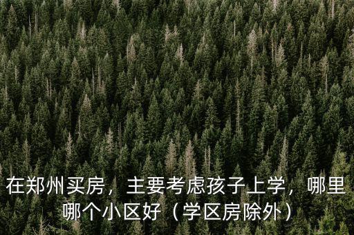 在鄭州買房，主要考慮孩子上學，哪里哪個小區好（學區房除外）