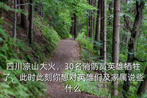 四川哪里著大火了,四川涼山大火