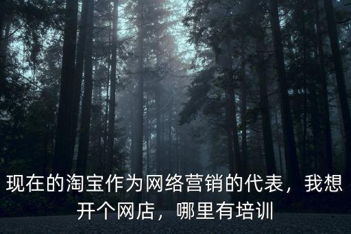 現在的淘寶作為網絡營銷的代表，我想開個網店，哪里有培訓