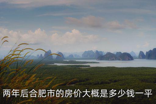兩年后合肥市的房價大概是多少錢一平