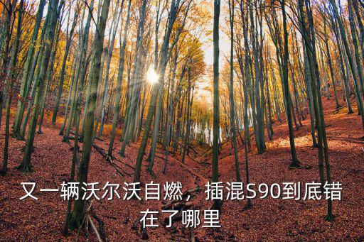 成都起火在哪里,成都一小區起火