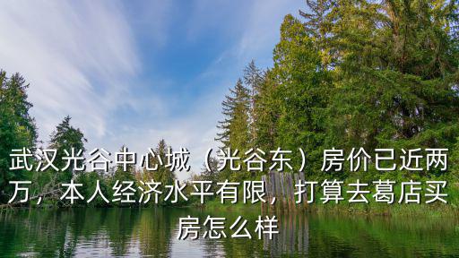 武漢星吉姆光谷怎么樣,武漢光谷中心城