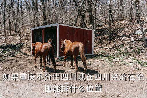 如果重慶不分出四川現(xiàn)在四川經(jīng)濟(jì)在全國(guó)能排什么位置