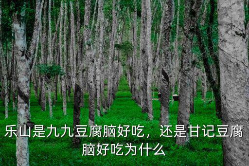 樂山是九九豆腐腦好吃，還是甘記豆腐腦好吃為什么