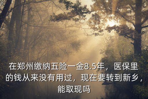 在鄭州繳納五險一金8.5年，醫保里的錢從來沒有用過，現在要轉到新鄉，能取現嗎