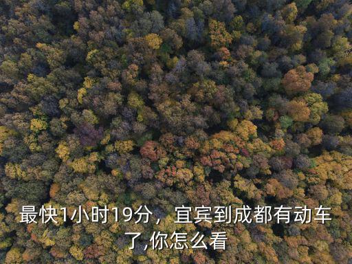 最快1小時(shí)19分，宜賓到成都有動(dòng)車(chē)了,你怎么看