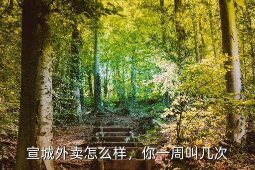 宣城外賣怎么樣，你一周叫幾次