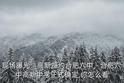 現場曝光：高新簽約合肥六中，合肥六中高新中學正式確定,你怎么看