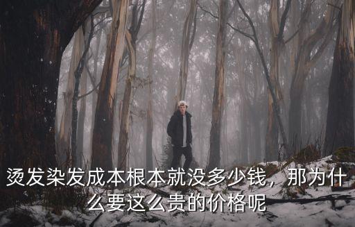 燙發染發成本根本就沒多少錢，那為什么要這么貴的價格呢