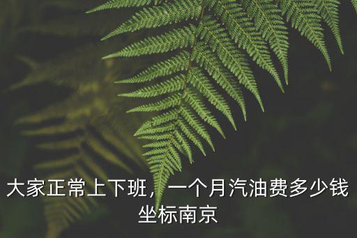 合肥去蘇州的油費要多少錢一個月,一個月汽油費多少錢