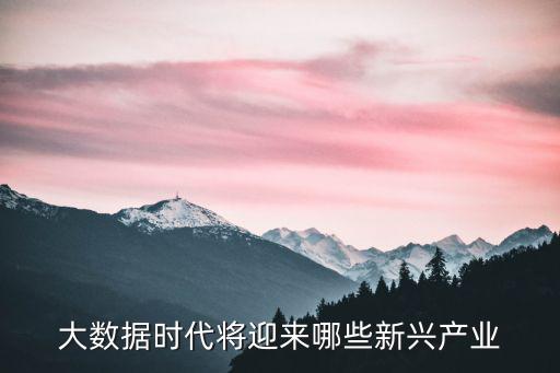 大數據時代將迎來哪些新興產業