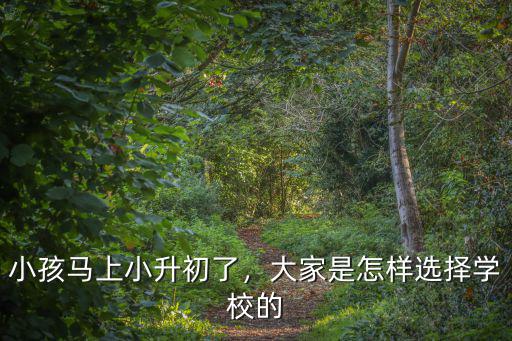武漢小孩小升初怎么擇校,小孩馬上小升初了