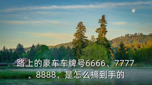 河北6666的車牌值多少錢,濰坊666車牌號能值多少錢