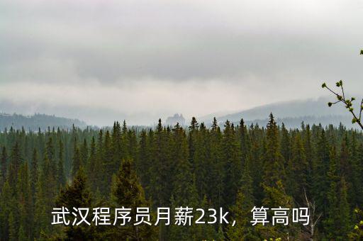 武漢編程貓工作 怎么樣,在武漢打工生活怎么樣