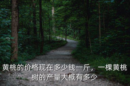 黃桃的價格現在多少錢一斤，一棵黃桃樹的產量大概有多少