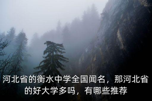 河北省的衡水中學全國聞名，那河北省的好大學多嗎，有哪些推薦
