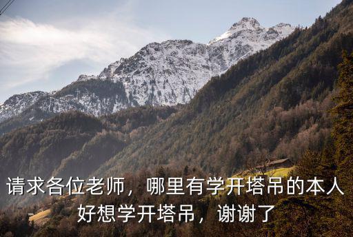 請求各位老師，哪里有學開塔吊的本人好想學開塔吊，謝謝了