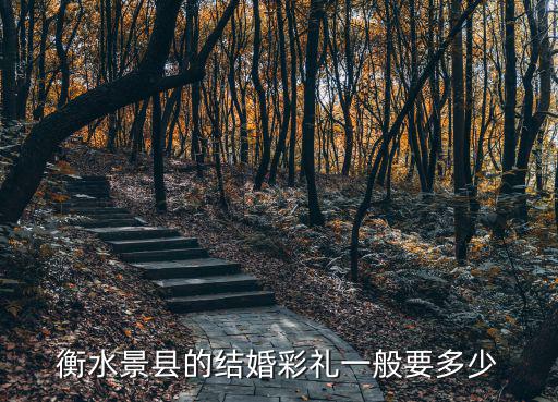 衡水景縣的結婚彩禮一般要多少