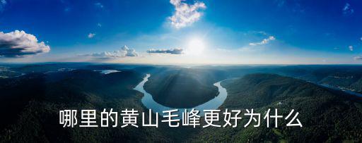 哪里的黃山毛峰更好為什么