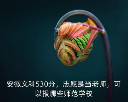 安徽文科多少分能上淮南師范學(xué)院,安徽淮南師范學(xué)院怎么樣