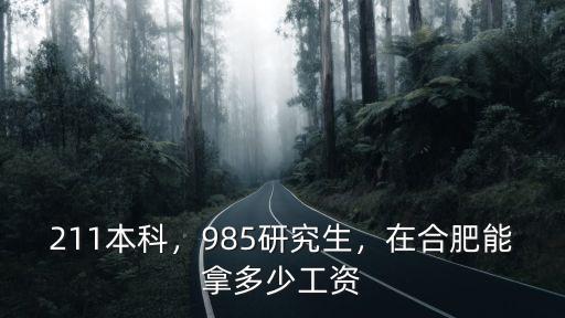 211本科，985研究生，在合肥能拿多少工資