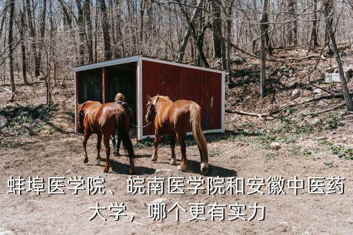 蚌埠醫學院多少校區,皖南醫學院和安徽中醫藥大學