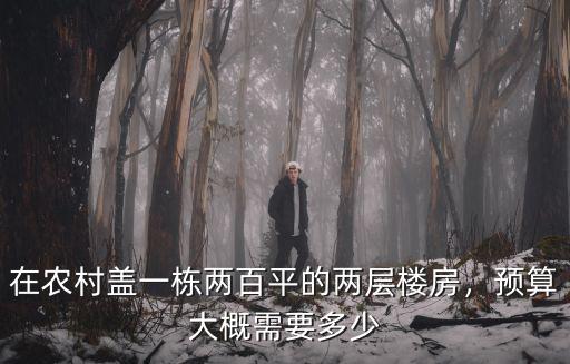 保定市農村二層樓預算多少,預算大概需要多少