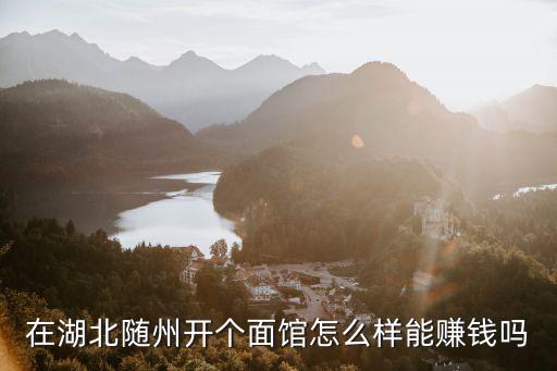 在湖北隨州開個面館怎么樣能賺錢嗎