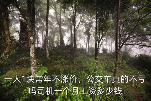 一人1塊常年不漲價，公交車真的不虧嗎司機(jī)一個月工資多少錢