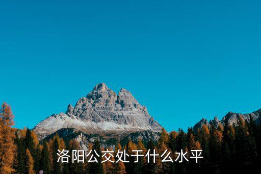 洛陽公交車微信怎么掃碼,微信怎么刷乘車碼坐公交