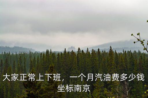 銅陵南京順風車多少錢,在南京跑滴滴順風車