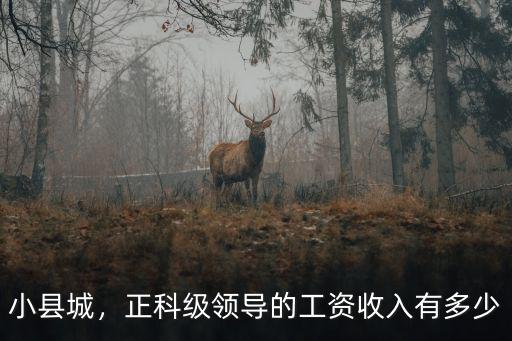 宣城市正科級干部有多少人,正科級領導的工資收入有多少