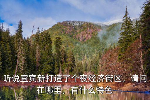 宜賓天際線在哪里,宜賓未來的城市中心在哪里