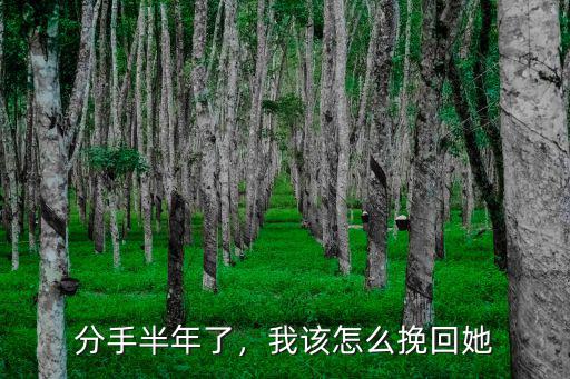 分手半年了，我該怎么挽回她