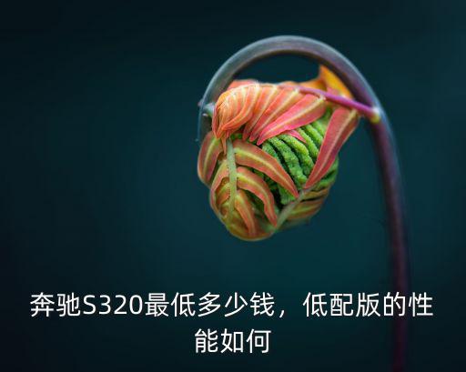 奔馳S320最低多少錢，低配版的性能如何