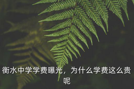 衡水中學(xué)學(xué)費(fèi)曝光，為什么學(xué)費(fèi)這么貴呢