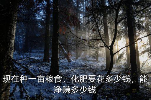 現在種一畝糧食，化肥要花多少錢，能凈賺多少錢
