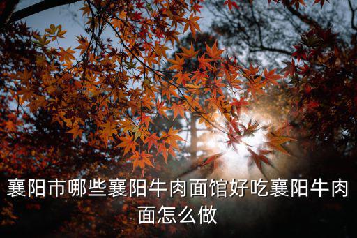 襄陽市哪些襄陽牛肉面館好吃襄陽牛肉面怎么做