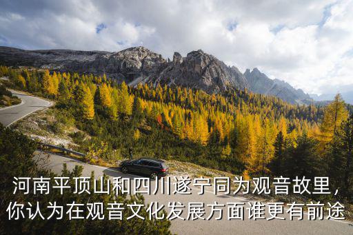 河南平頂山和四川遂寧同為觀音故里，你認為在觀音文化發展方面誰更有前途