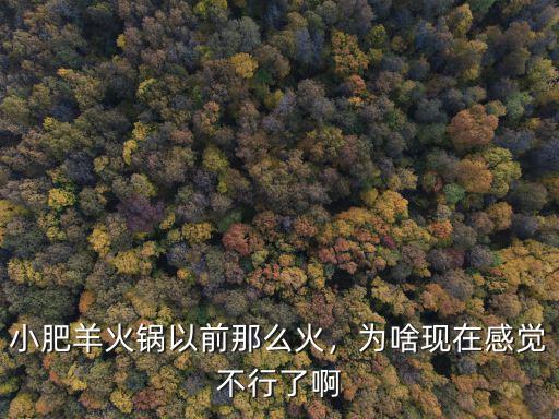 許昌小肥羊火鍋在哪里,小肥羊火鍋以前那么火