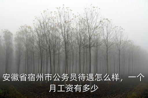 安徽省公務(wù)員工資一個(gè)月多少,一個(gè)月工資有多少