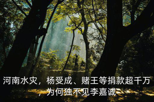 這次河南水災(zāi)李嘉誠捐多少錢,這次河南水災(zāi)都捐了多少