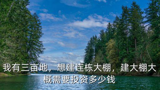 亳州連棟溫室大棚多少錢,建大棚大概需要投資多少錢