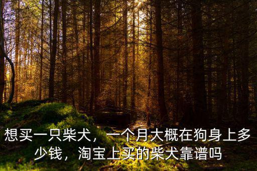 亳州柴犬一般多少錢,一個月大概在狗身上多少錢