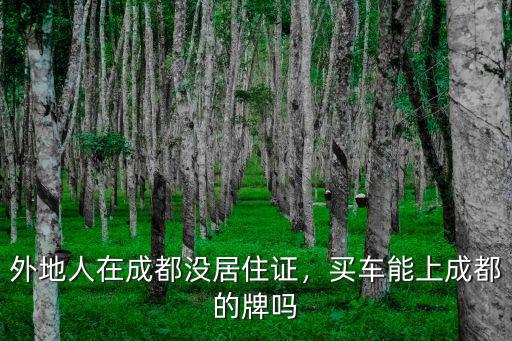成都在哪里去買車,外地人在成都沒居住證